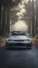 Sporty silver coupe pauses on a misty forest road.