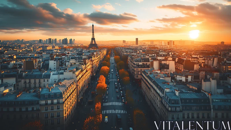 Sunset boulevard to the iron tower over glowing Parisian roofs.