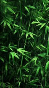 Dense green bamboo stalks with overlapping segmented leaves.