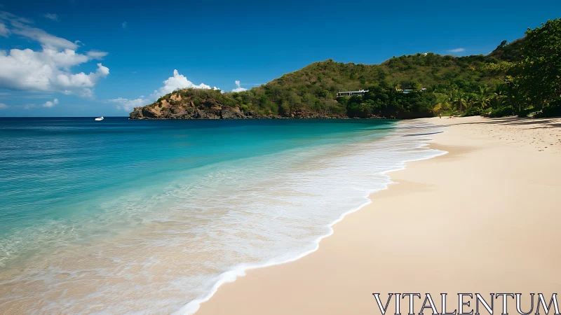 Tropical Paradise Beach with Turquoise Waters.