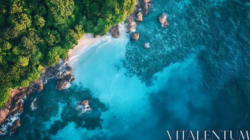 Emerald Shores Meet Turquoise Dreams.