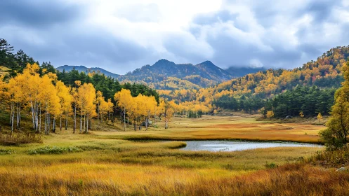 Autumn mountain valley with pond, birch trees and dense forest.