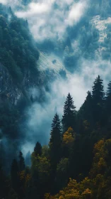 Alpine Valley Stratified in Translucent Mist and Evergreen Silhouettes.