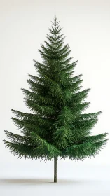 Evergreen geometry quietly builds a perfect winter ladder