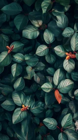 Moody macro foliage study with teal leaves and russet tips.