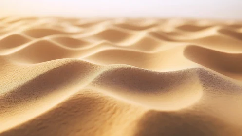 Soft golden sand dunes under gentle daylight glow.