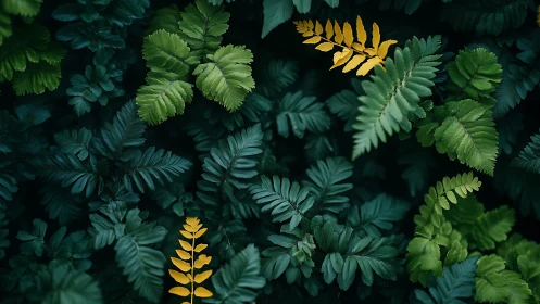 Golden fern fronds contrast against deep green foliage