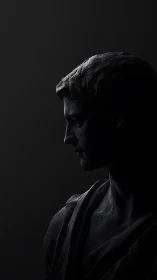 Marble bust profile emerges from deep shadowed void.