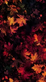 Emberfall canopy of glowing maple leaves at dusk&rsquo;s hush.