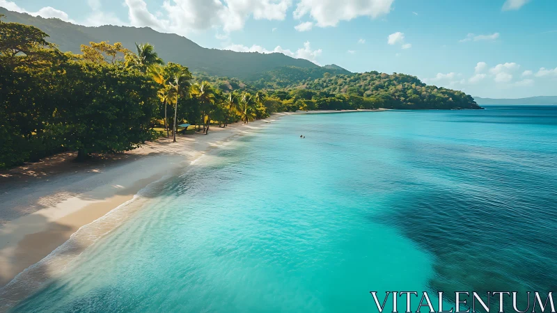 Turquoise Paradise: Pristine Island Shore Beckons With Emerald Palms.
