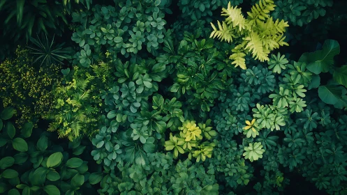 Emerald canopy whispers, layered leaves in lush harmony.