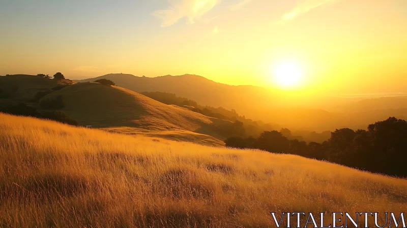 Golden hillside sunset bathes rolling landscape in light.