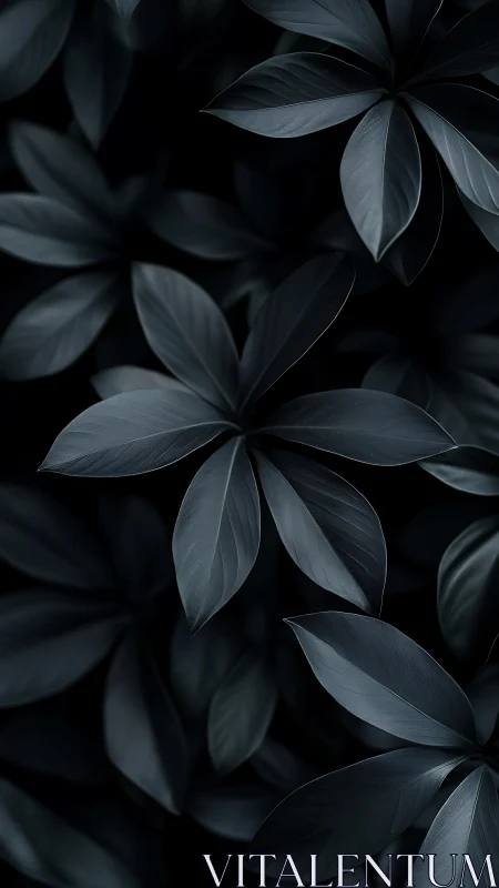Midnight foliage whispers in soft, velvety shadows.