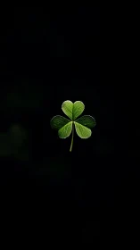 Isolated three-leaf clover rendered with high-contrast macro lighting