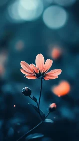 Coral Bloom in Twilight Bokeh Setting