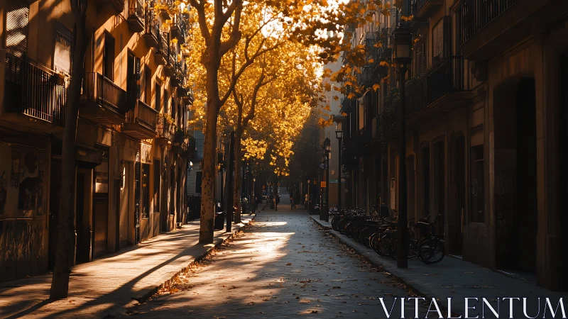 Golden autumn light warms quiet European city street.