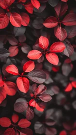Red-tinted foliage fills the vertical frame in soft focus