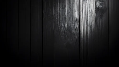 Dark wooden plank wall with subtle directional lighting.