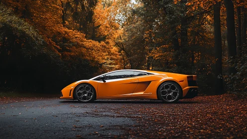 Orange sports car parked on forest road in autumn.