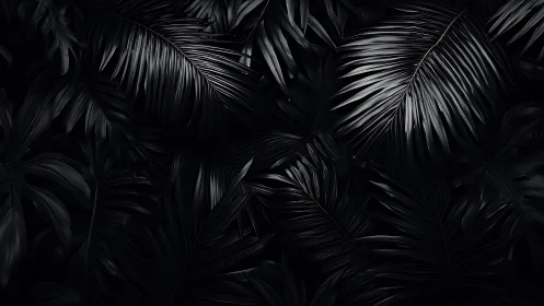 Dark tropical leaves form glossy monochrome jungle canopy