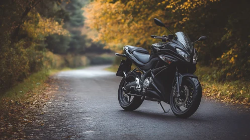 Sport touring motorcycle on damp forest road at dusk.