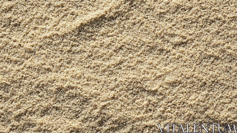 Fine beach sand texture with soft directional ripples.