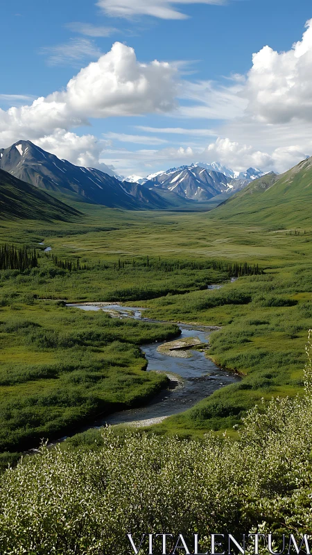 Rivered meadow curls toward snowbright mountains and roaming clouds