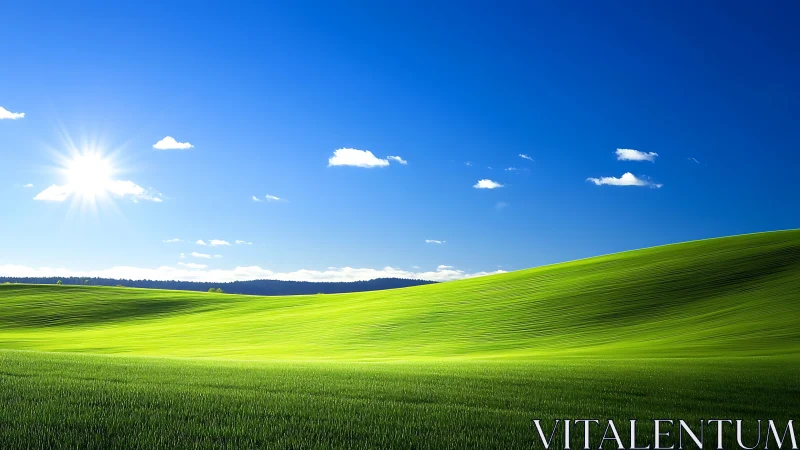 Sunlit green hills quietly ripple beneath an electric blue sky