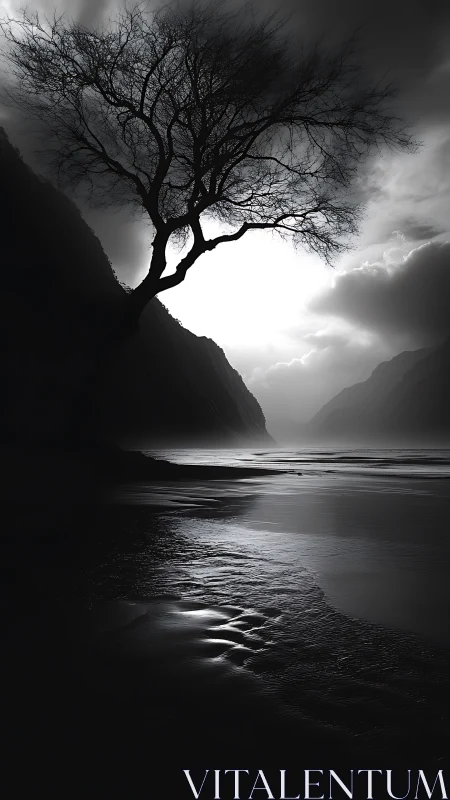 High contrast coastal silhouette captures tree against backlit sky