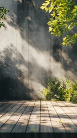 Sunlit ferns quietly rehearse shadows on a wooden stage