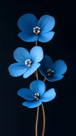 Delicate Blue Forget-me-nots Dancing in Shadow.