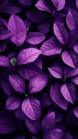 Saturated violet foliage study with high contrast lighting.