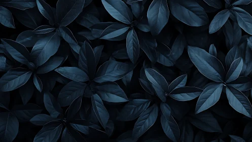 Low-key monochrome foliage pattern with overlapping broad leaves