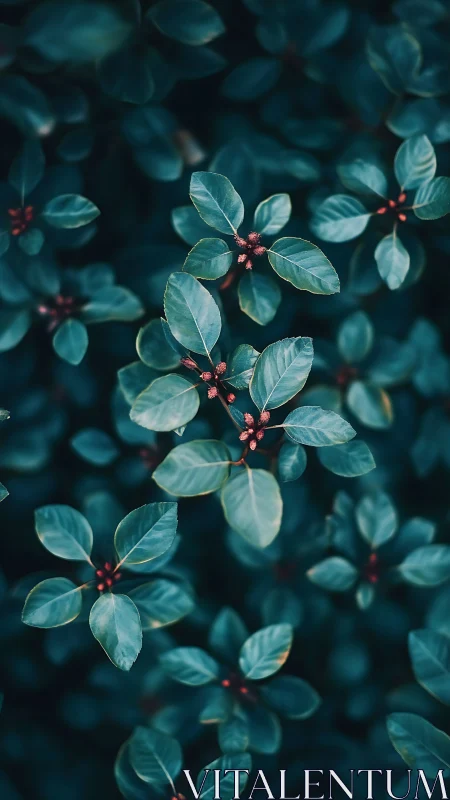 Teal foliage with red buds rendered in shallow depth of field