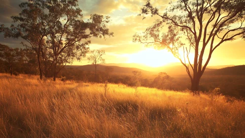 Golden hillside sunset through trees over distant hills.