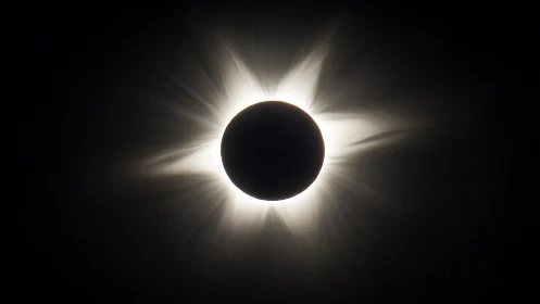 Solar totality captures radial corona in high contrast profile