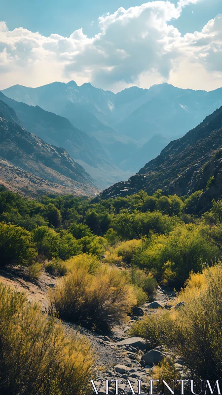 Sunlit mountain valley with layered blue ridges and scrub.