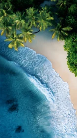 Aerial Coastal View with Palms and Breaking Waves