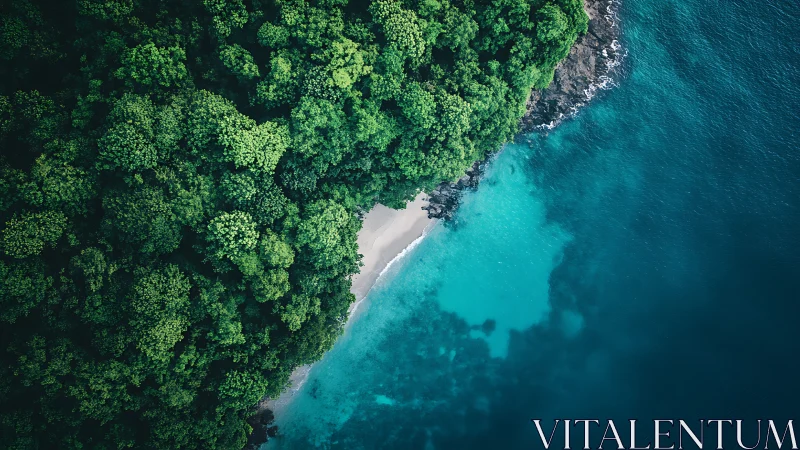 Emerald Forest Kisses Turquoise Paradise.