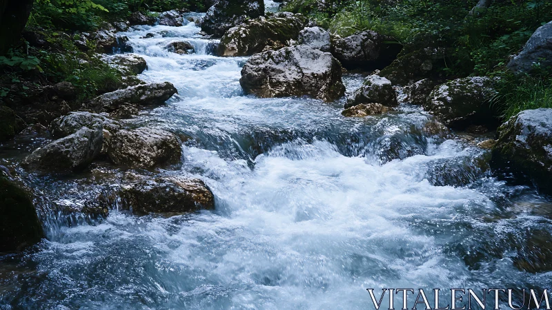 Crystal-clear mountain stream flowing over mossy rocks in nature.