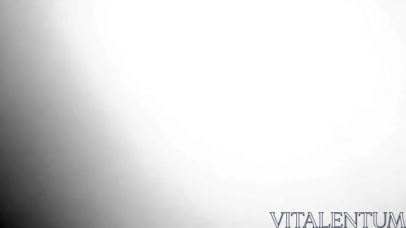 Gentle black to white gradient inviting calm reflection.