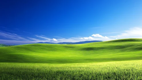 Digital pastoral landscape with rolling chromatic grasslands.