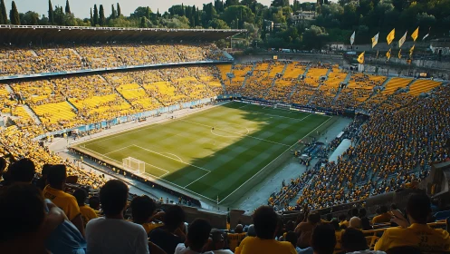 Panoramic football stadium packed with synchronized yellow crowd.