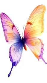 Butterfly shows translucent gradient wings in vivid colors