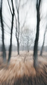 Radial motion-blur woodland scene abstracts winter grass