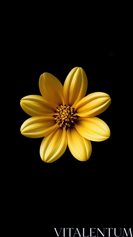 Golden Flower Blooming Against Black Background