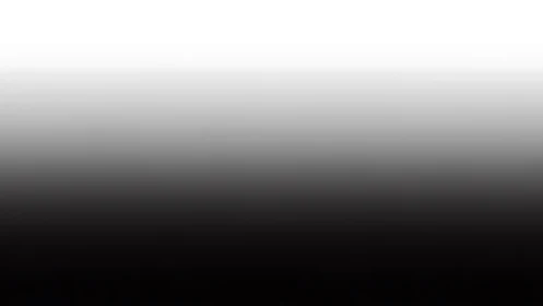 Soft monochrome gradient inviting quiet reflection.