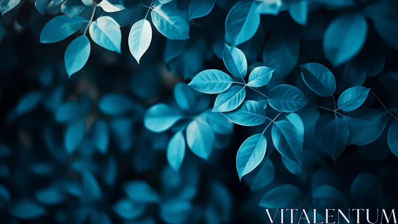 Cool blue foliage glows softly against a dark forest backdrop.