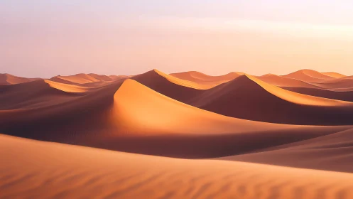 Sunlit dune crests form rhythmic gradients under soft desert haze