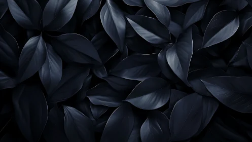 Dark monochrome foliage forms dense overlapping pattern